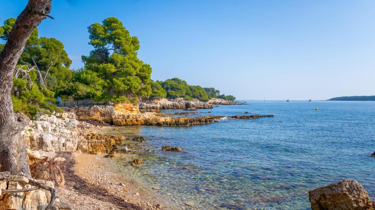 Rez-De-Villa Mougins Zewnętrze zdjęcie