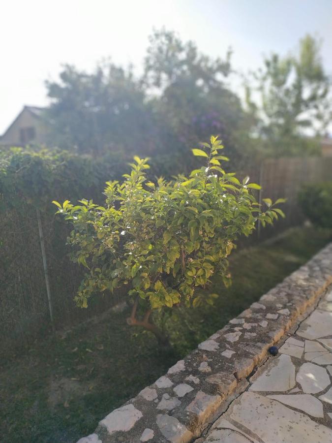 Rez-De-Villa Mougins Zewnętrze zdjęcie